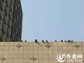 济南楼顶爆料案件最新,惊曝高空惊魂，真相即将揭晓  第1张