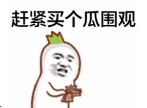 网红吃瓜表情包是谁啊 第1张 网红吃瓜表情包是谁啊 第1张